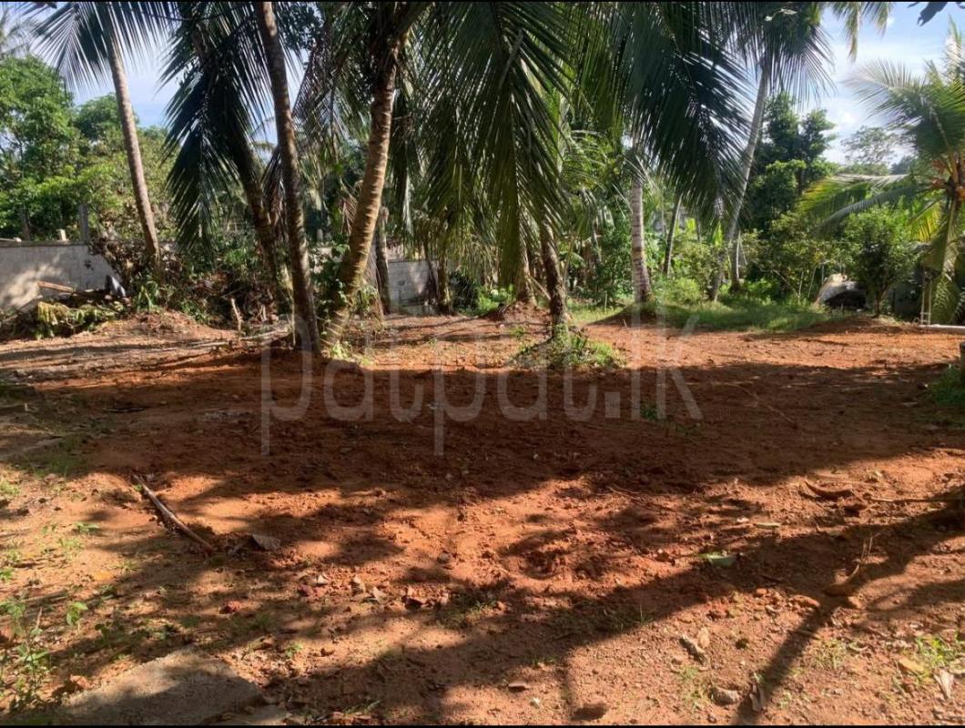 Advertisement image 6