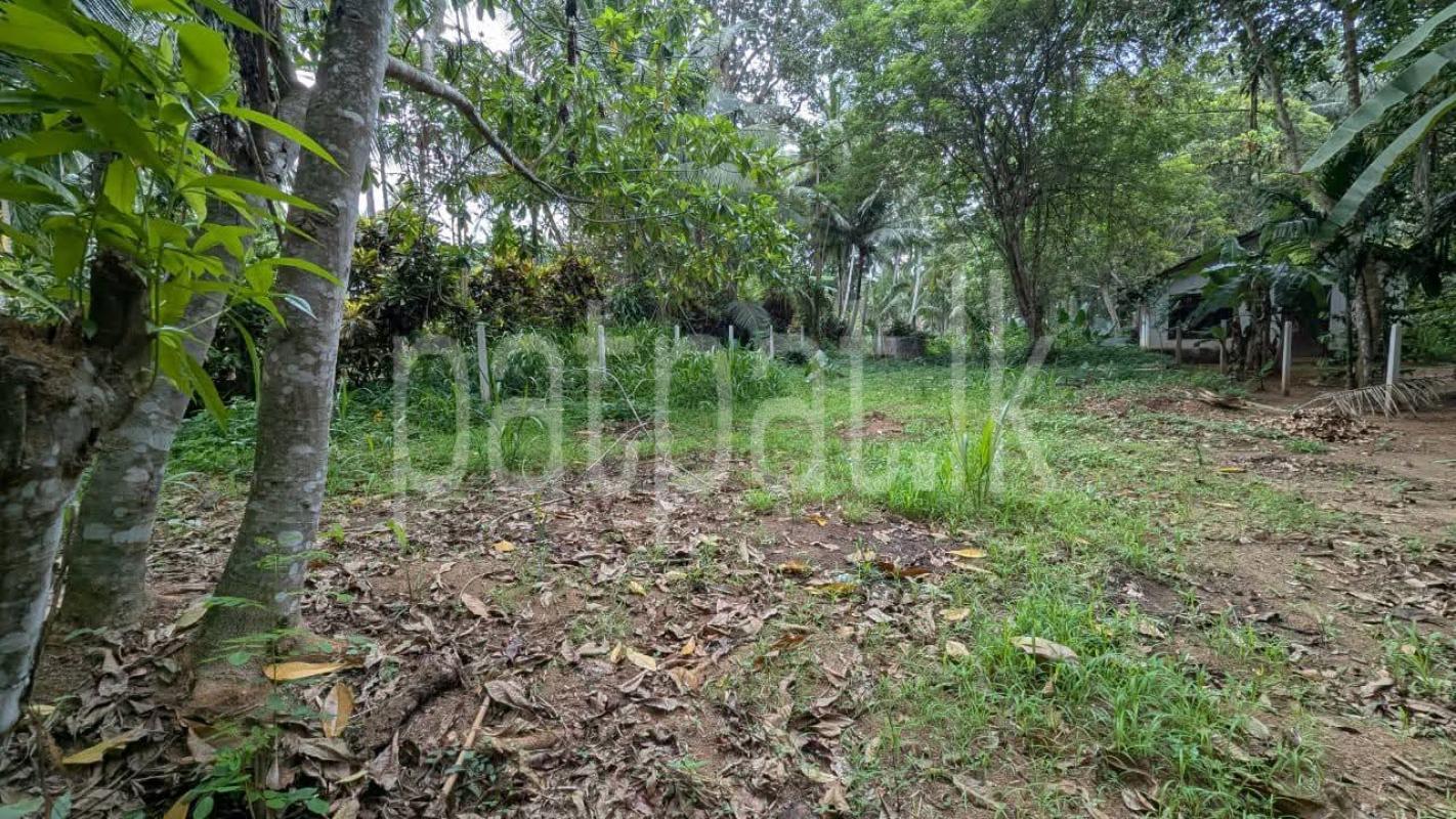 Residential Land for Sale in Veyangoda