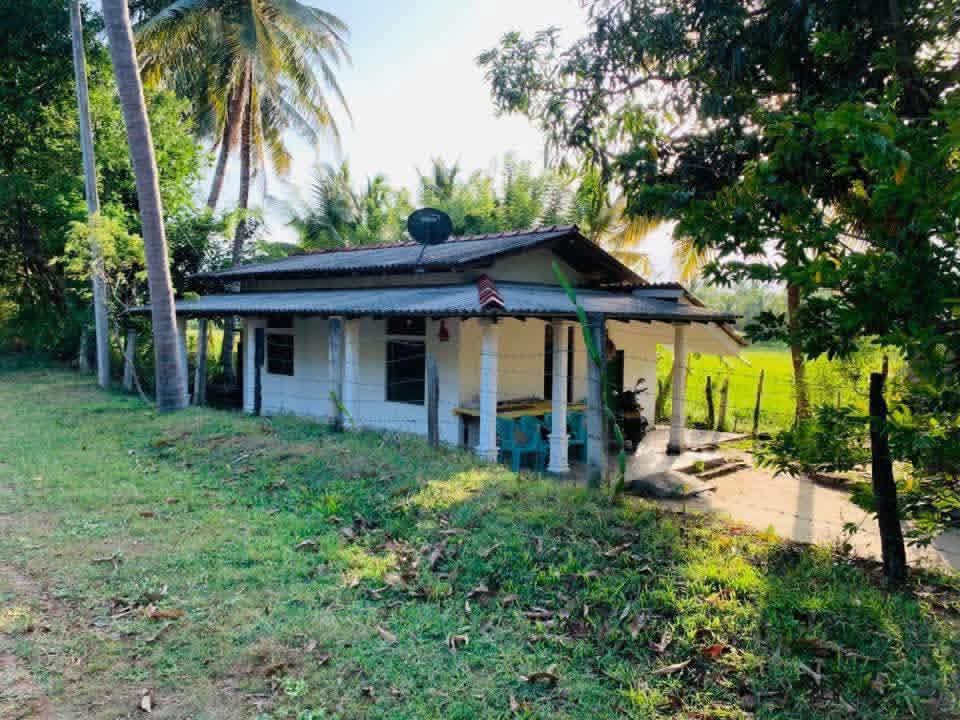 Agricultural Land for Sale in Sewanagala