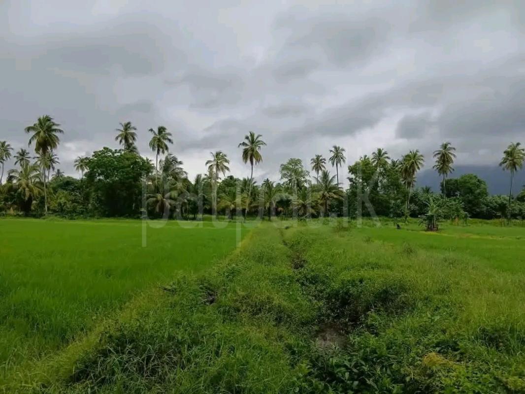 Agricultural Land for Sale in Maho