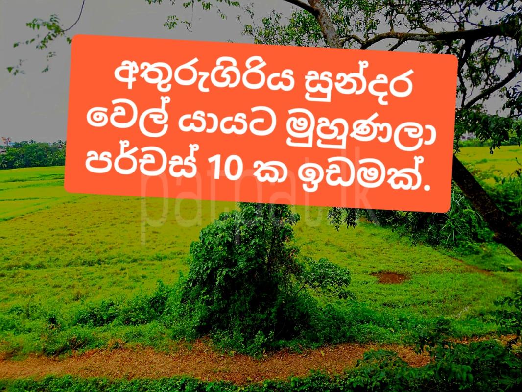 Advertisement image 1