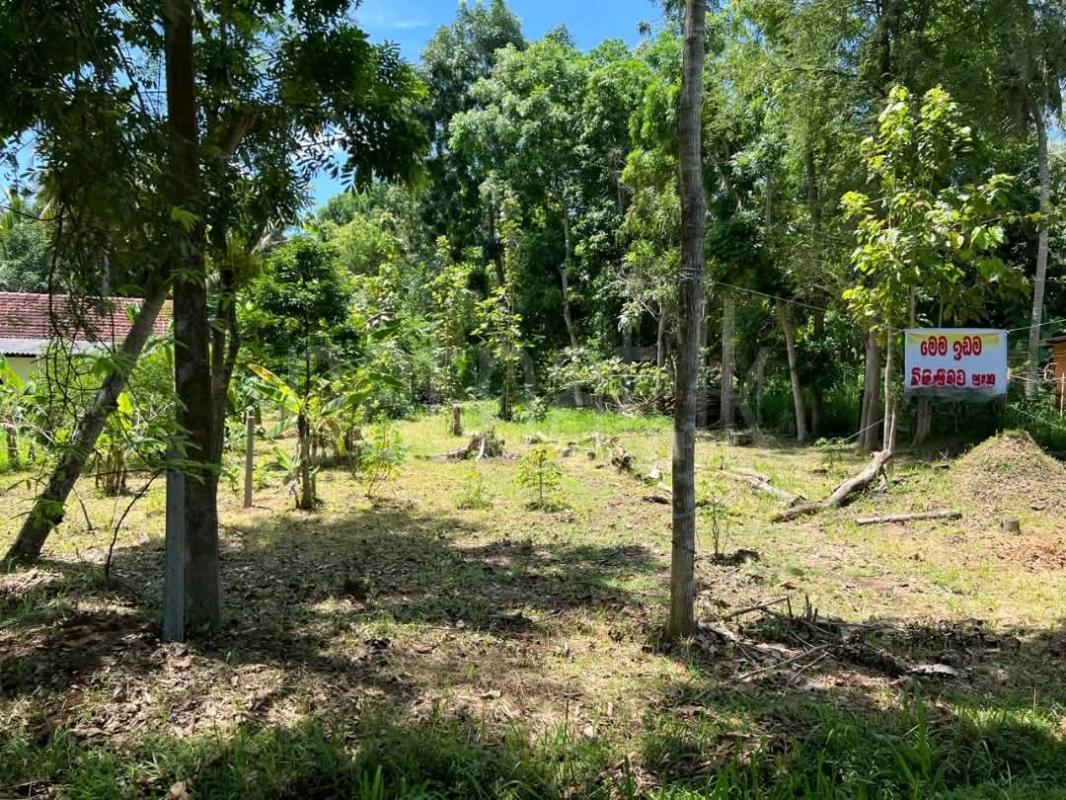 Agricultural Land for Sale in Maggona