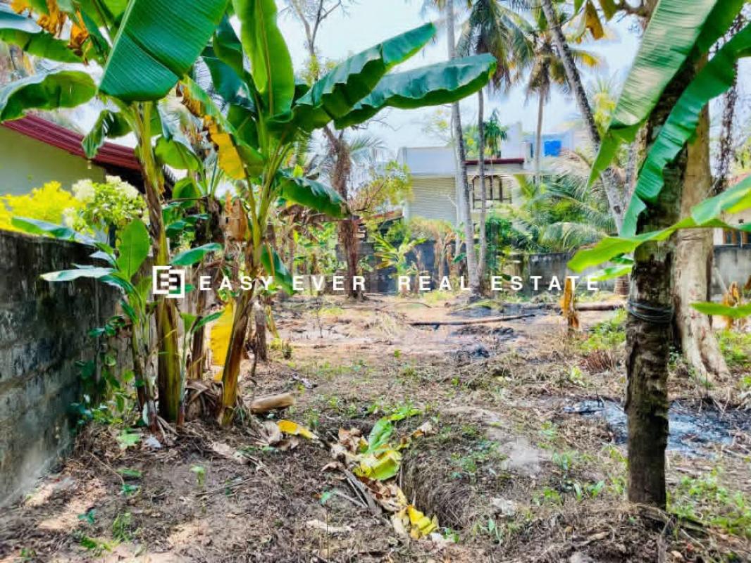 Residential Land for Sale in Gampaha