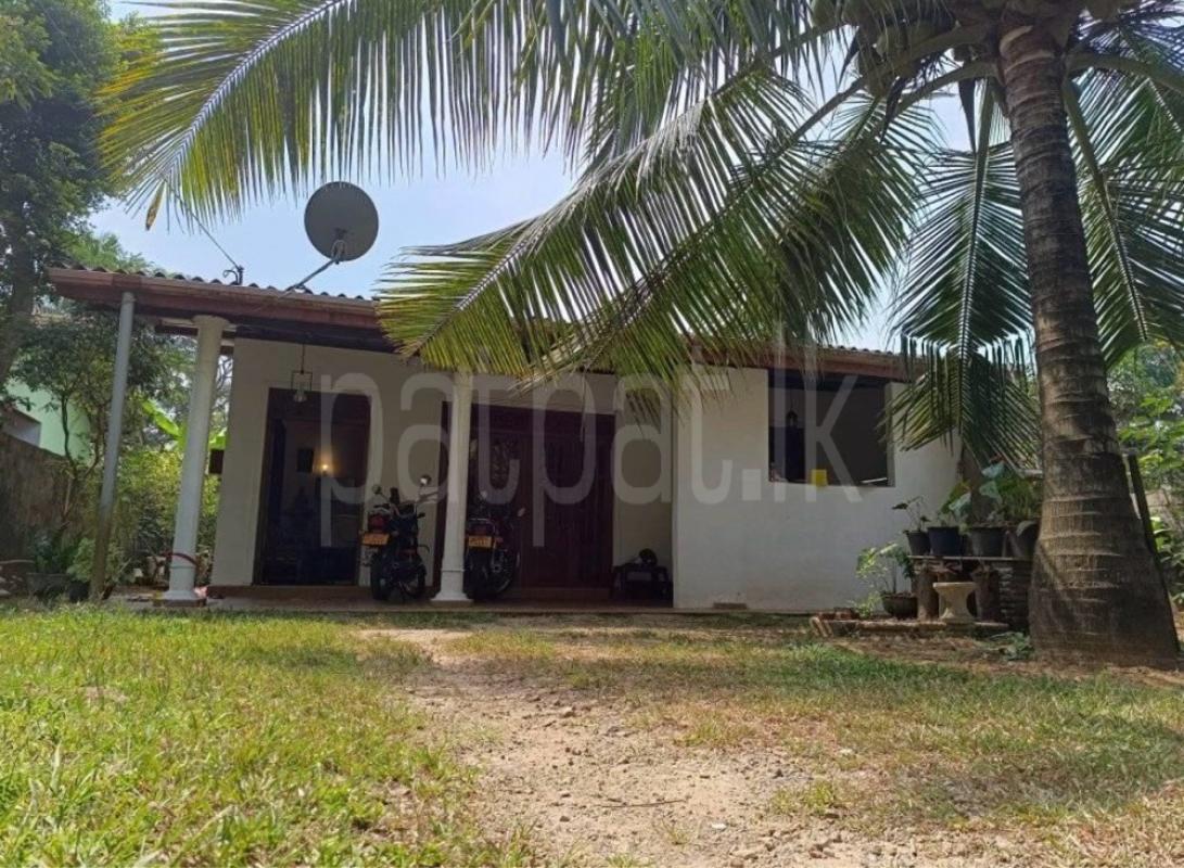 House for Sale in Homagama ads-image-1