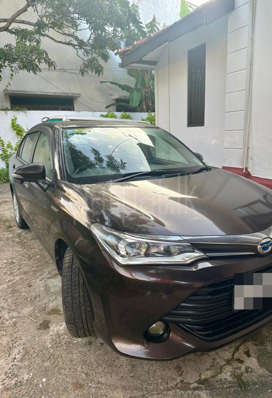 Advertisement image 2