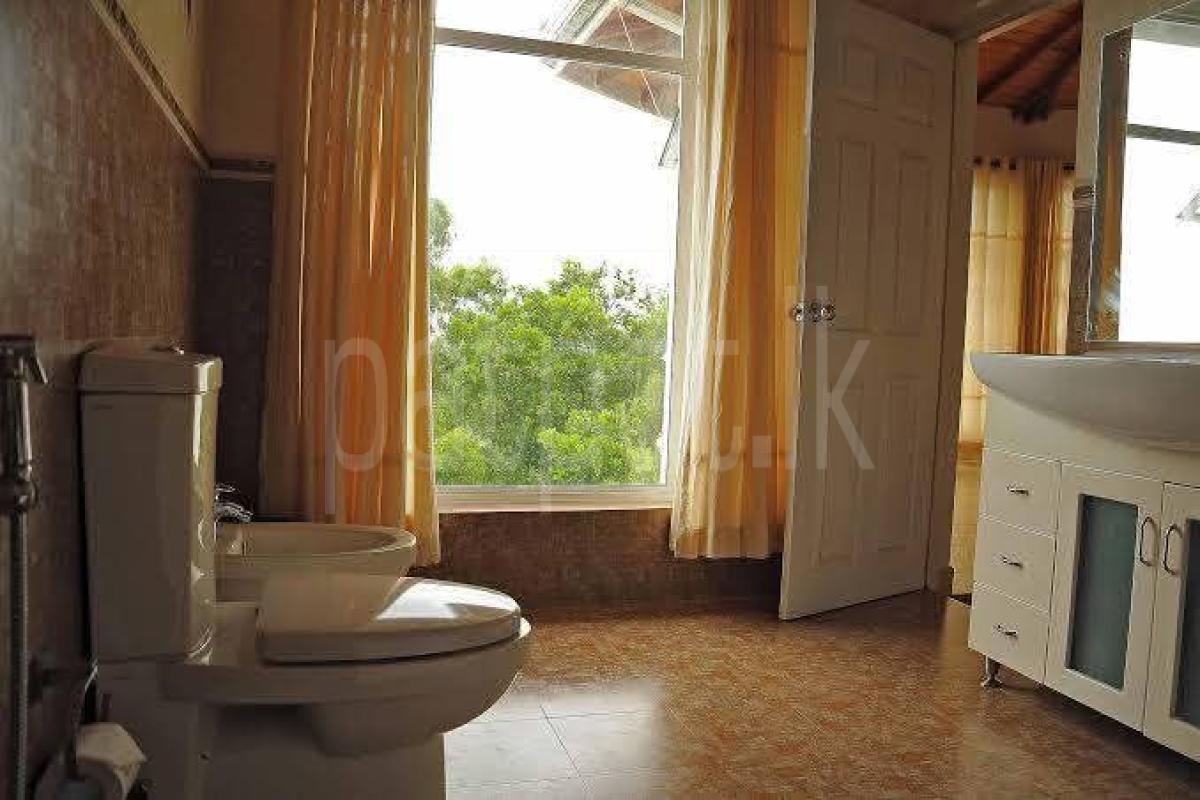 premium-listing-image