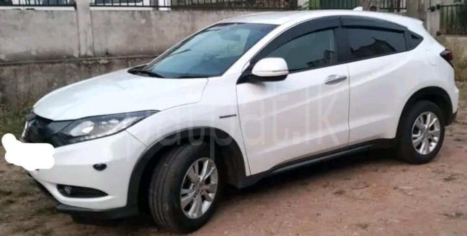 Advertisement image 3