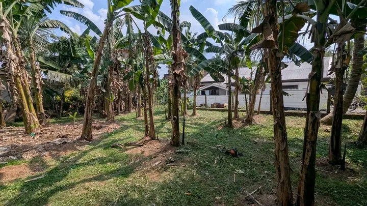 Commercial Land for Sale in Weliveriya