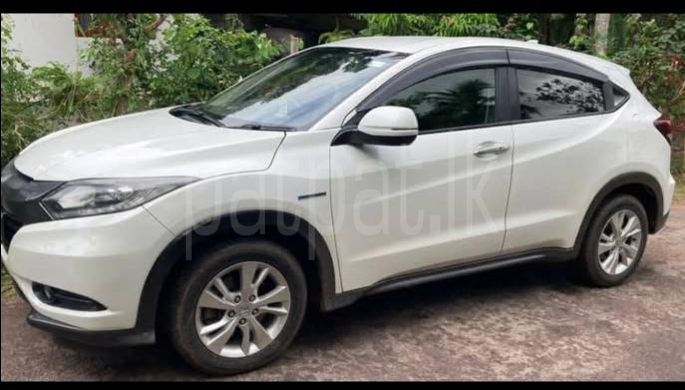 Advertisement image 3