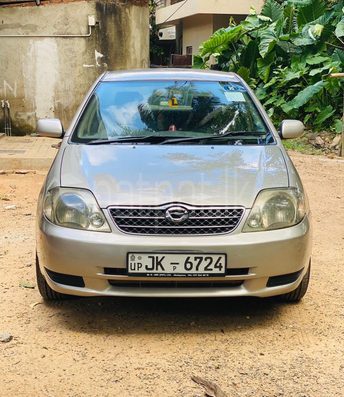 Advertisement image 6