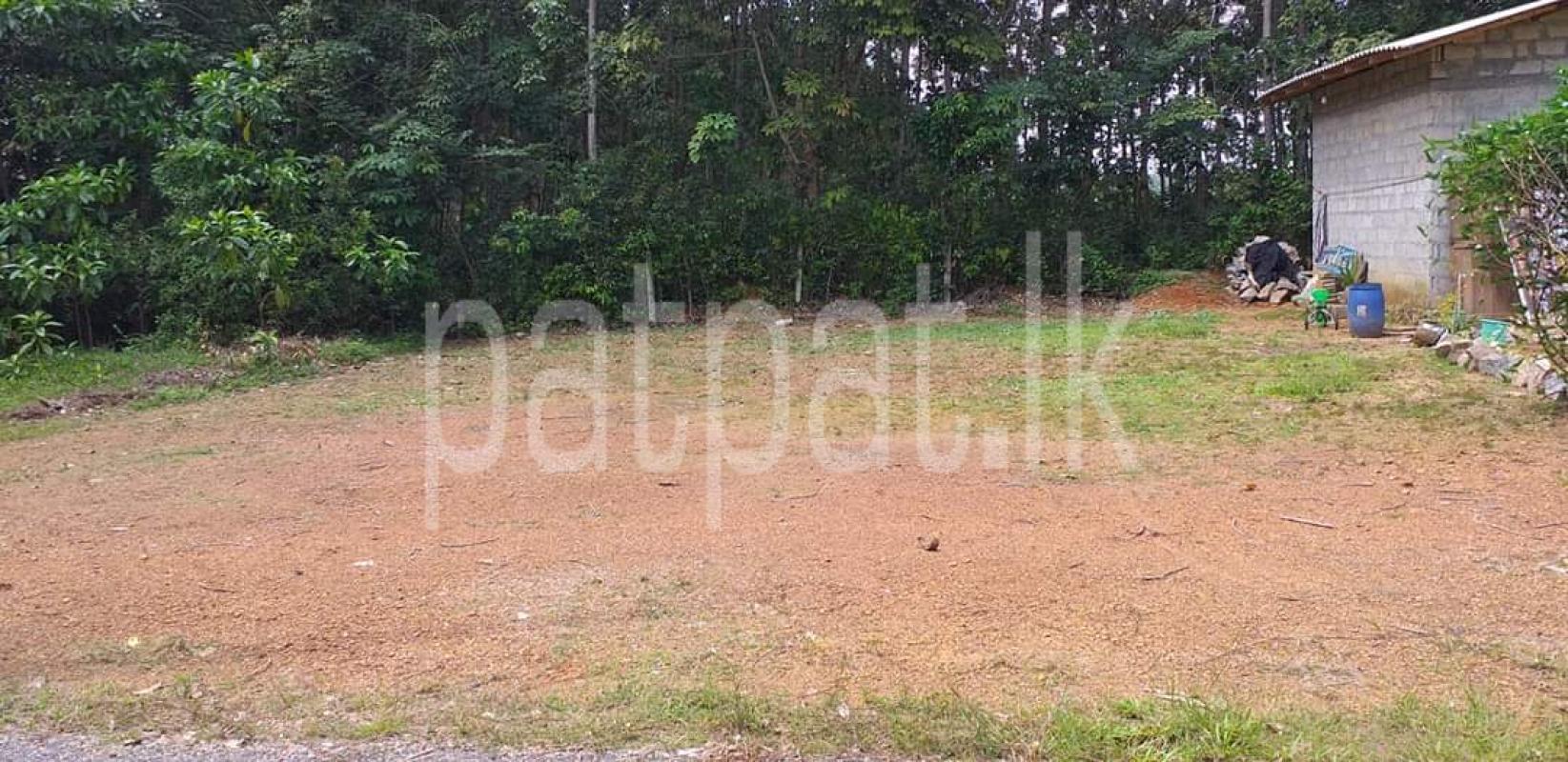 Residential Land for Sale in Kiriwattuduwa