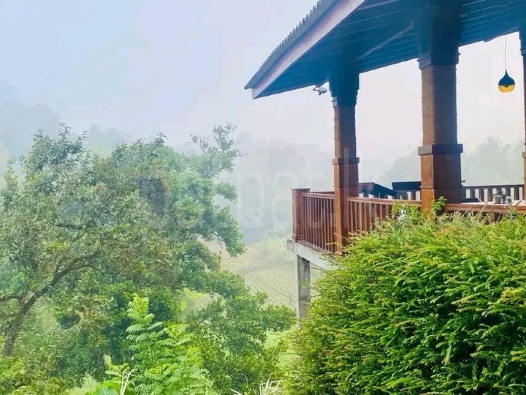 Residential Land for Sale in Balangoda