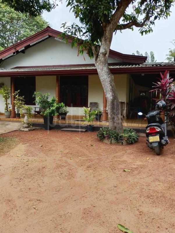 House for Sale in Gampaha ads-image-1
