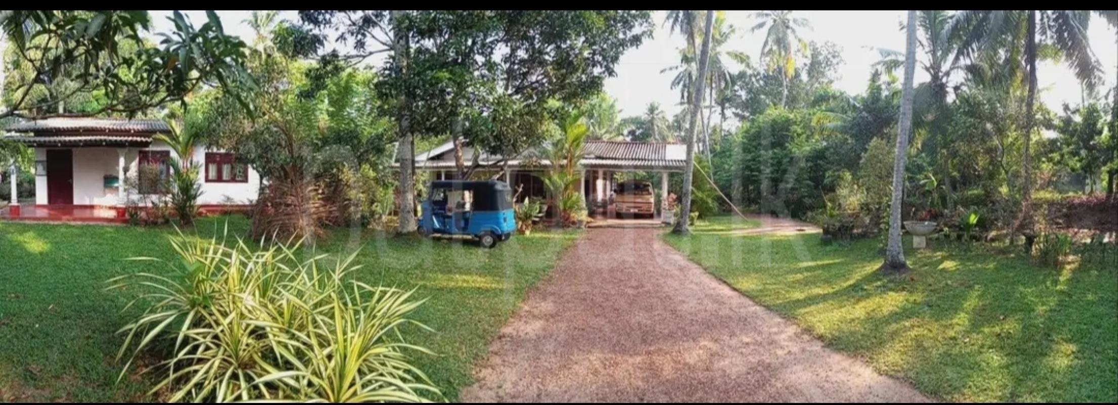 House for Sale in Polgasowita