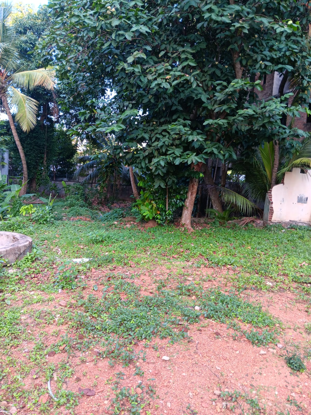  Land for Sale in Dehiwala