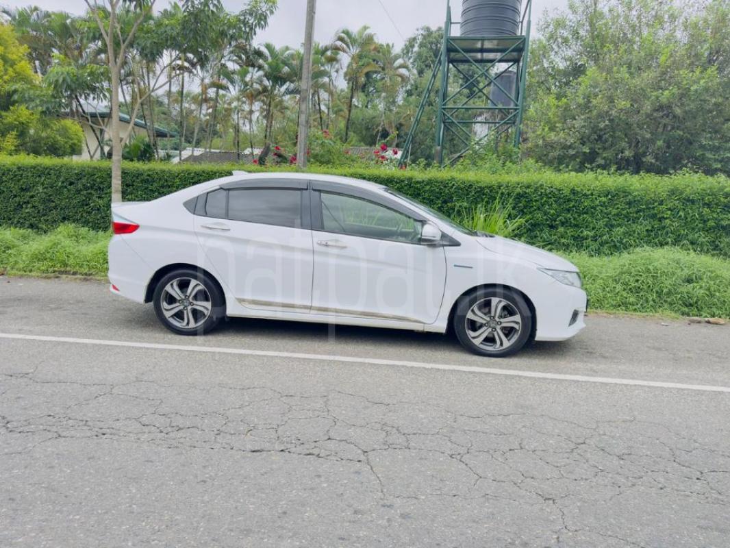 Advertisement image 6