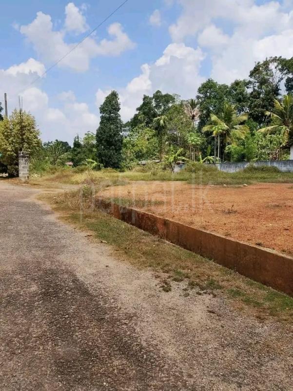 Commercial Land for Sale in Weliveriya