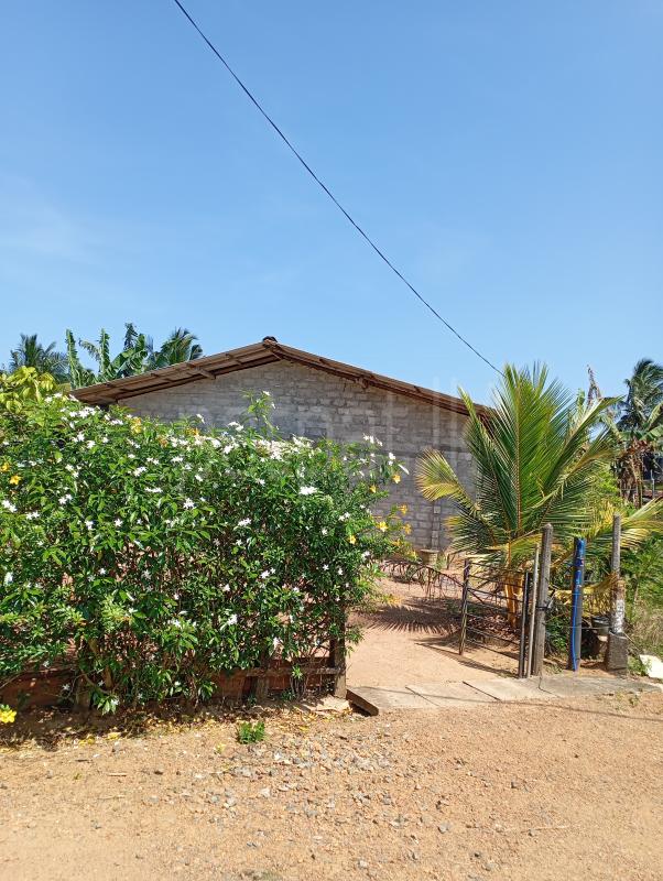 House for Sale in Kirindiwela ads-image-1