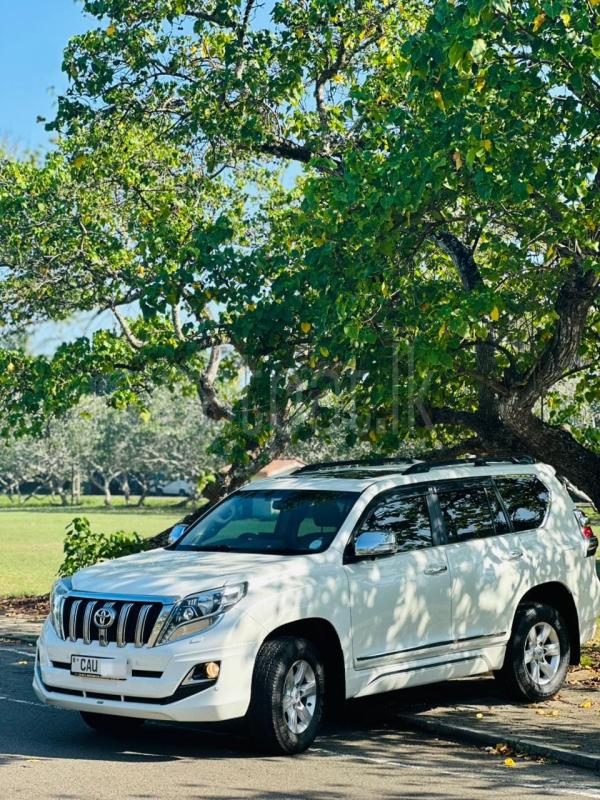 Advertisement image 3