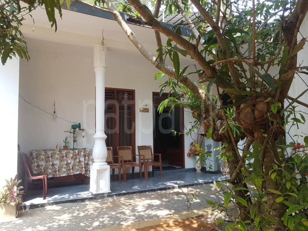 House for Sale in Homagama
