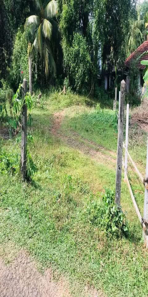 Residential Land for Sale in Homagama