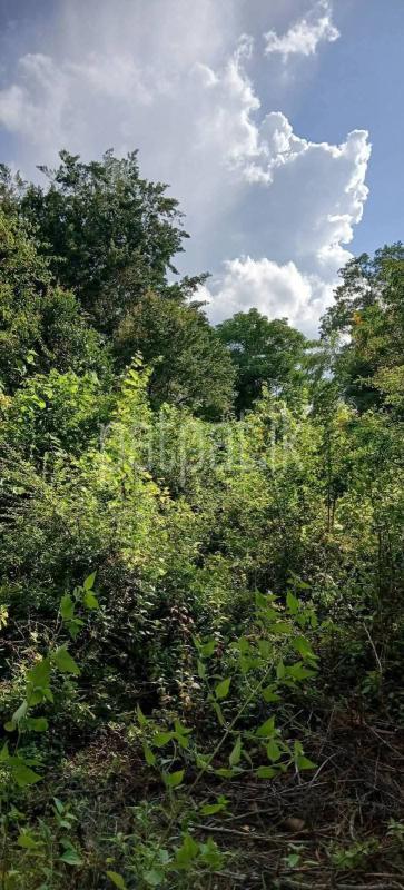 Residential Land for Sale in Kataragama