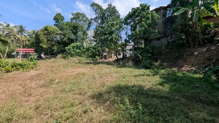 Commercial Land for Sale in Weliveriya