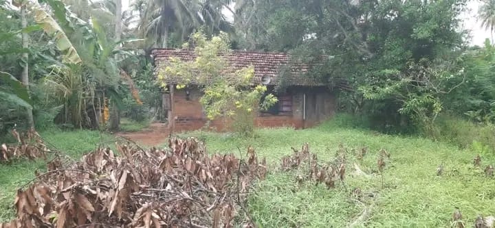 Commercial Land for Sale in Kurunegala ads-image-1