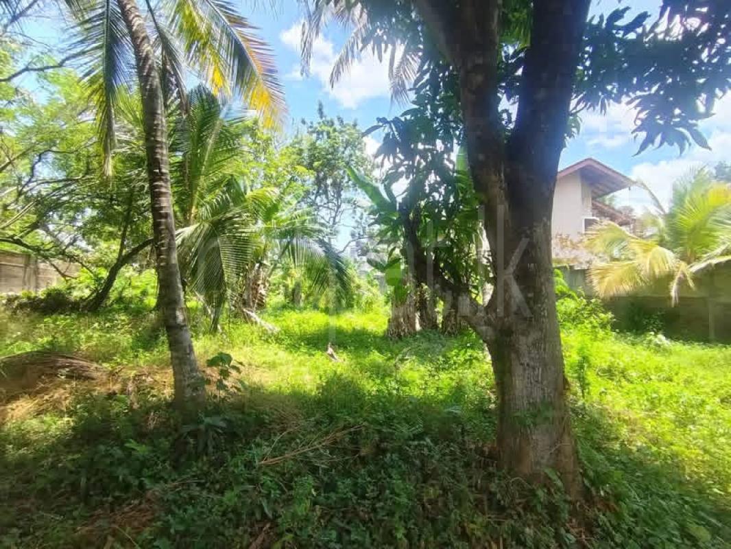 Residential Land for Sale in Homagama