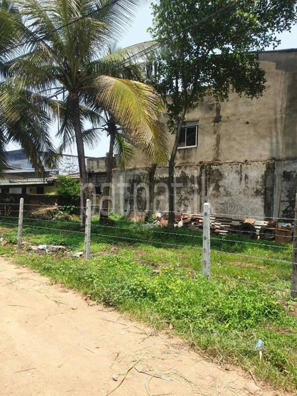 Advertisement image 1