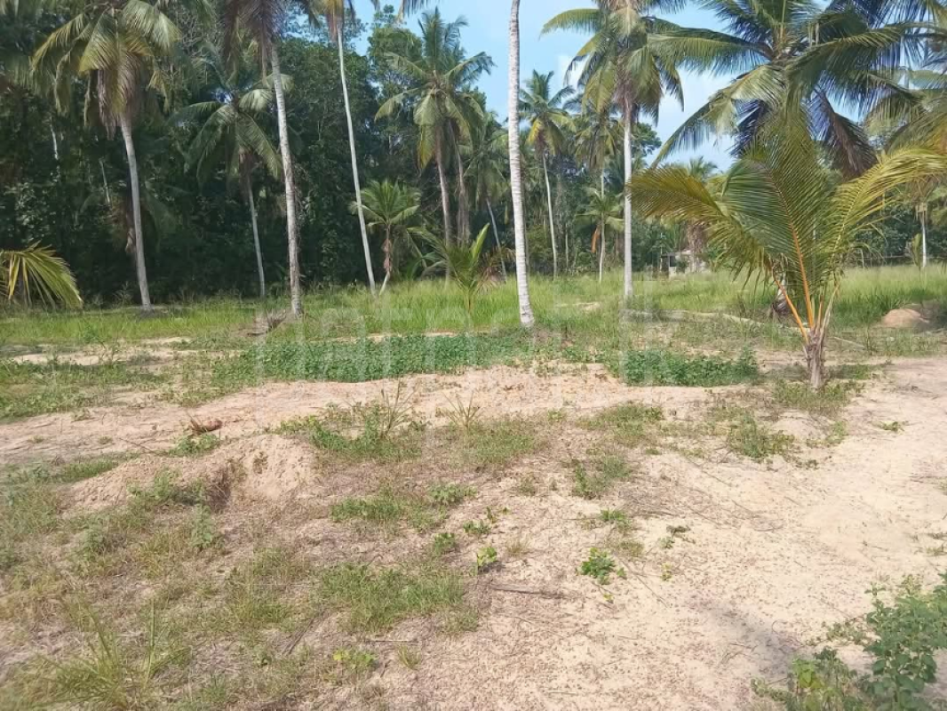 Commercial Land for Sale in Divulapitiya