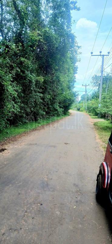 Residential Land for Sale in Kataragama