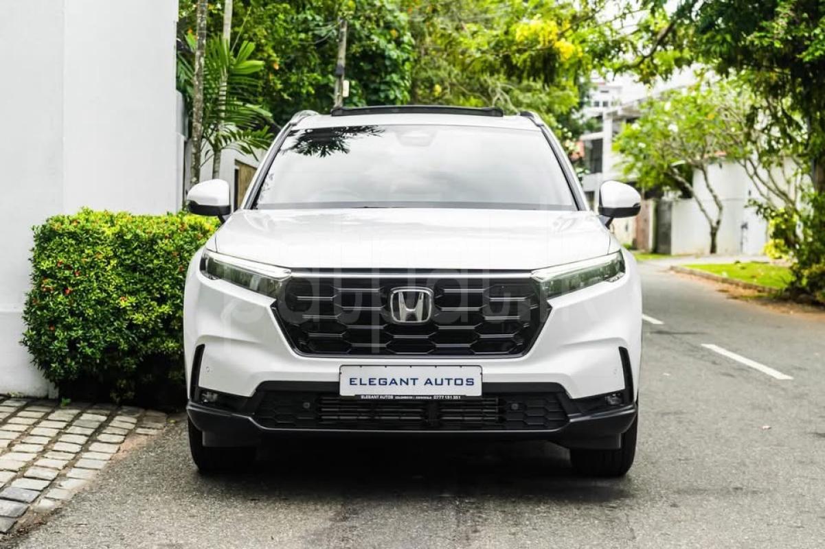 Advertisement image 1