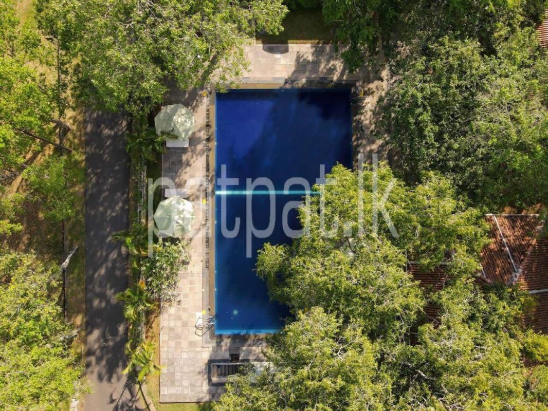 Hotel for Sale in Dambulla