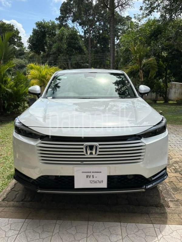 Advertisement image 1