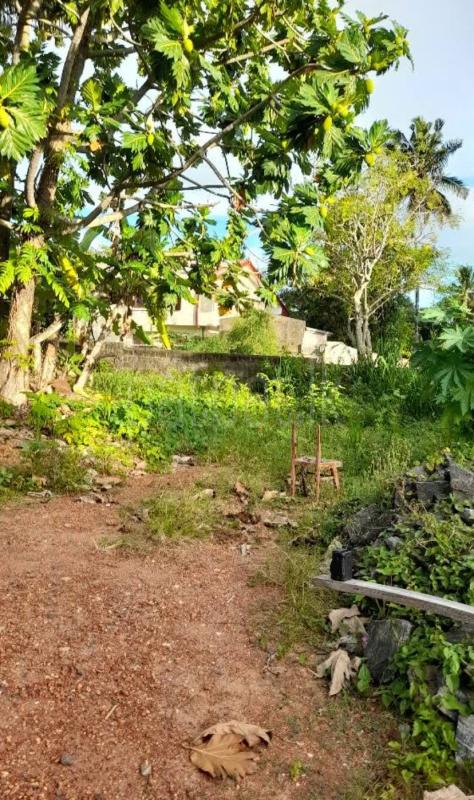Residential Land for Sale in Panadura