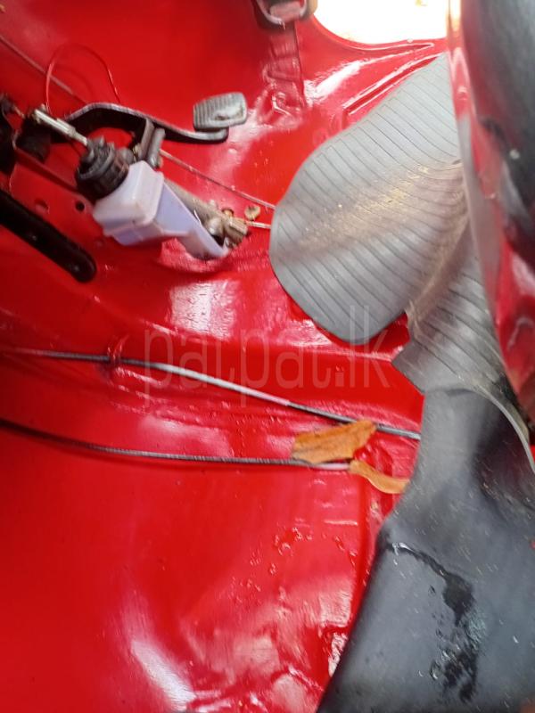 Advertisement image 3