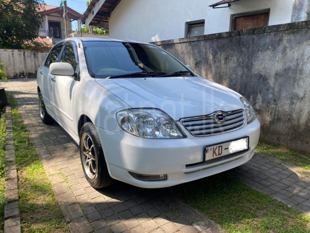 Advertisement image 1