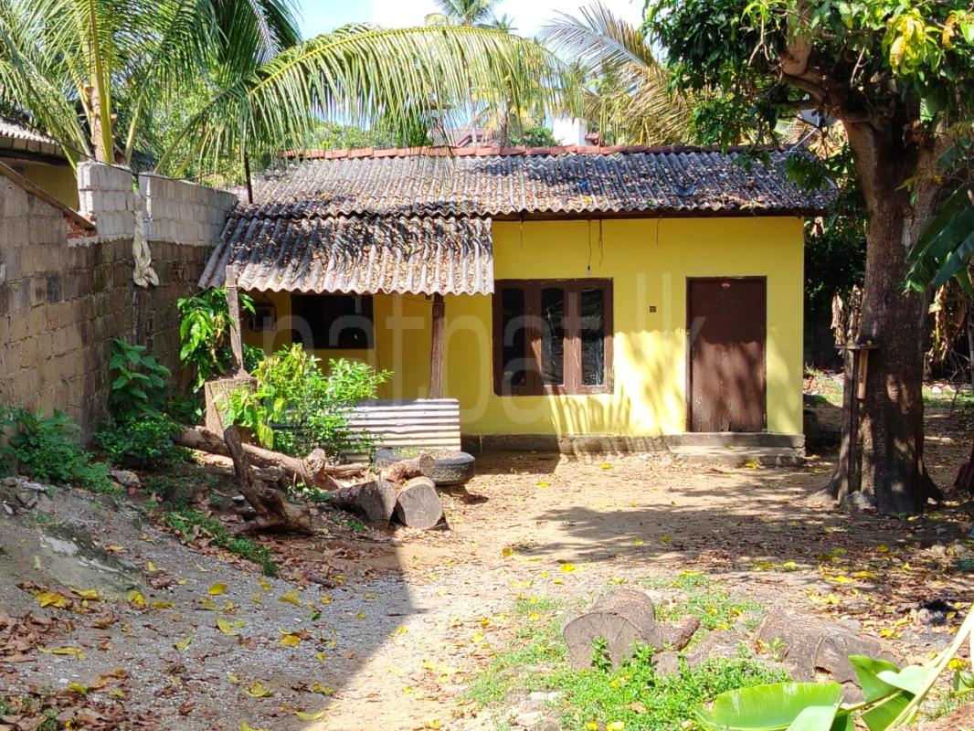 House for Rent in Mahabage