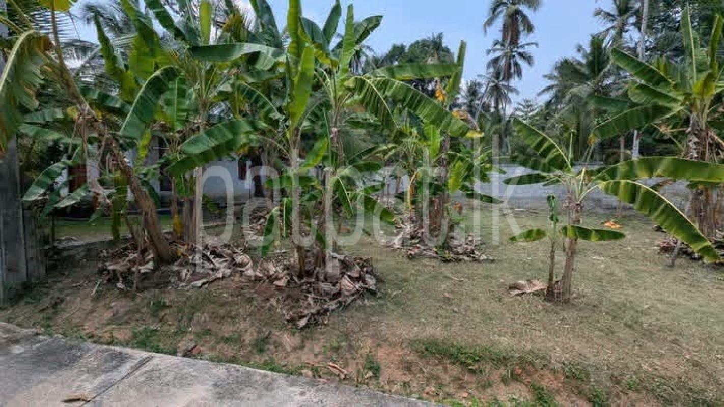 Residential Land for Sale in Yakkala