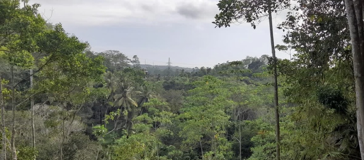Agricultural Land for Sale in Unawatuna