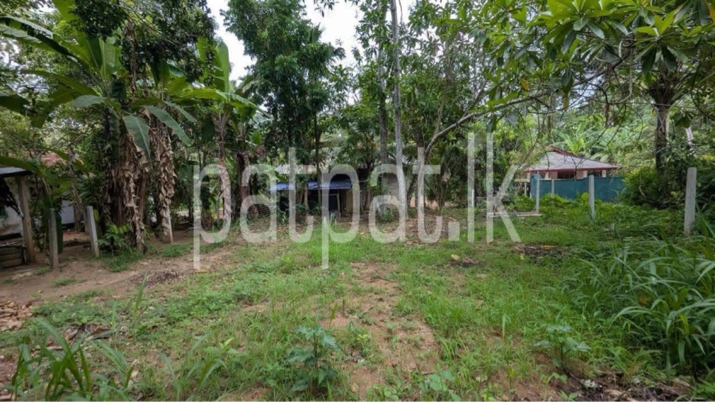 Residential Land for Sale in Veyangoda