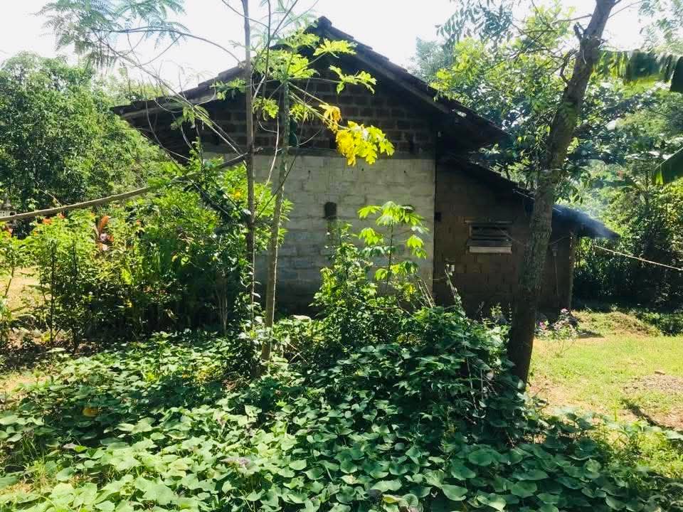 Agricultural Land for Sale in Sewanagala