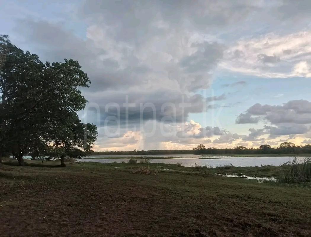 Residential Land for Sale in Wennappuwa