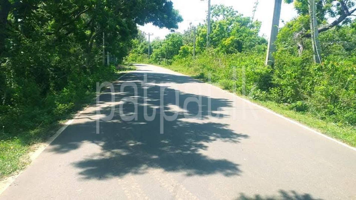 Residential Land for Sale in Kataragama