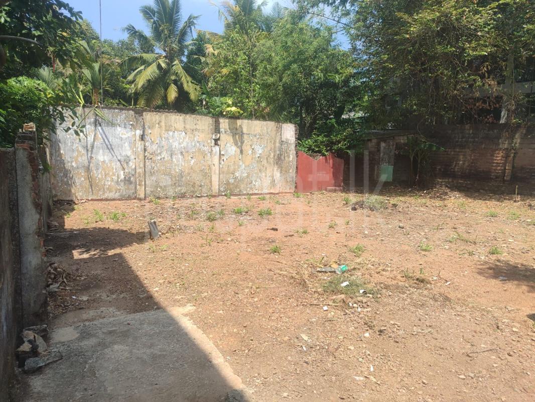 Residential Land for Sale in Wattala