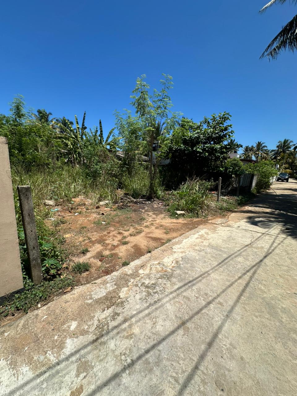 Residential Land for Sale in Pinwatta