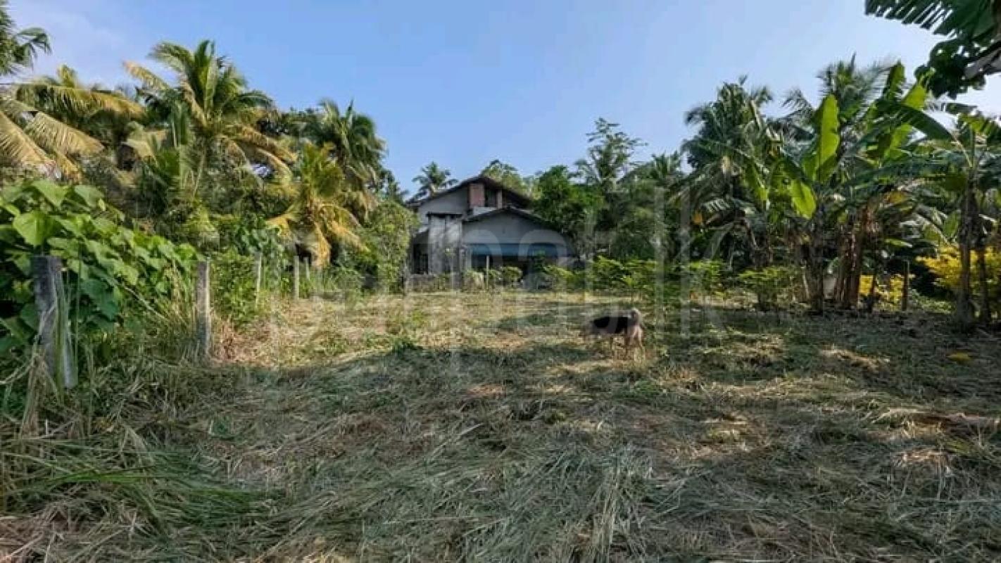 Commercial Land for Sale in Veyangoda ads-image-1