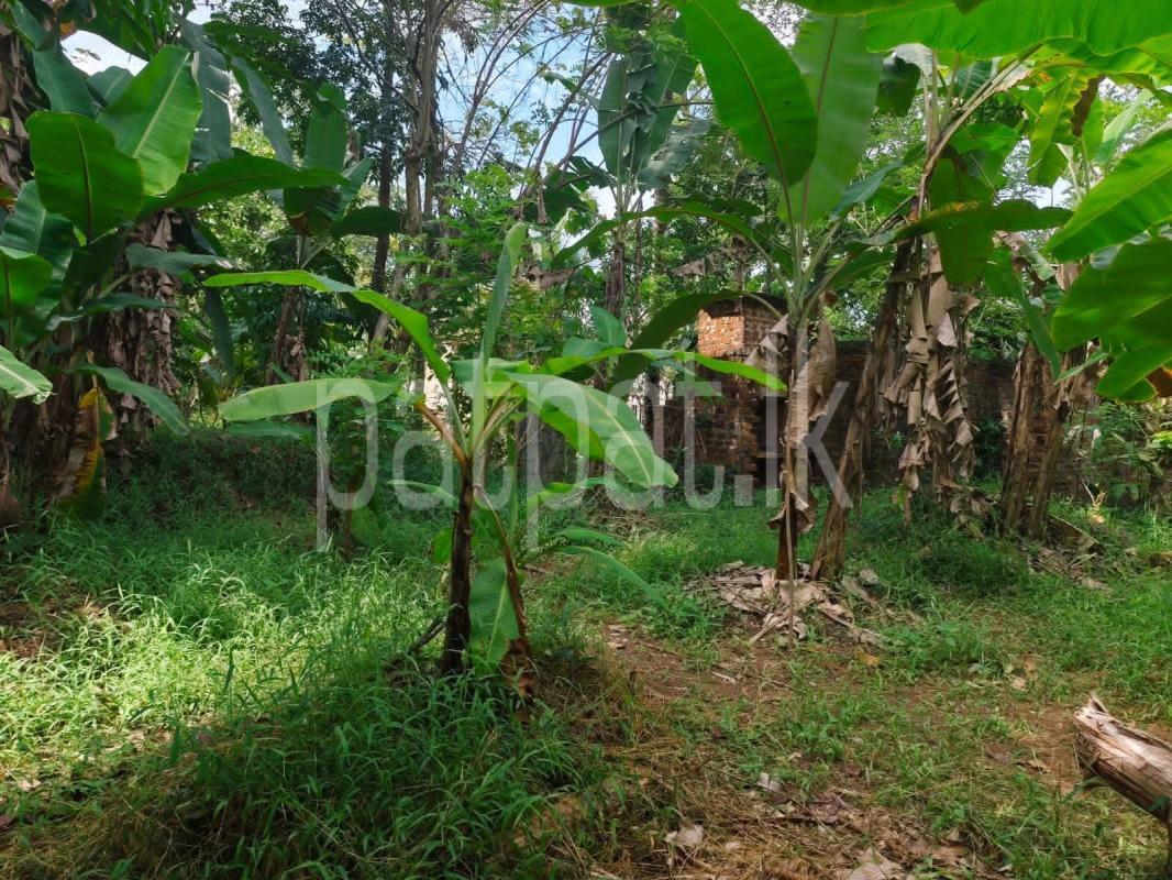 Residential Land for Sale in Mirigama