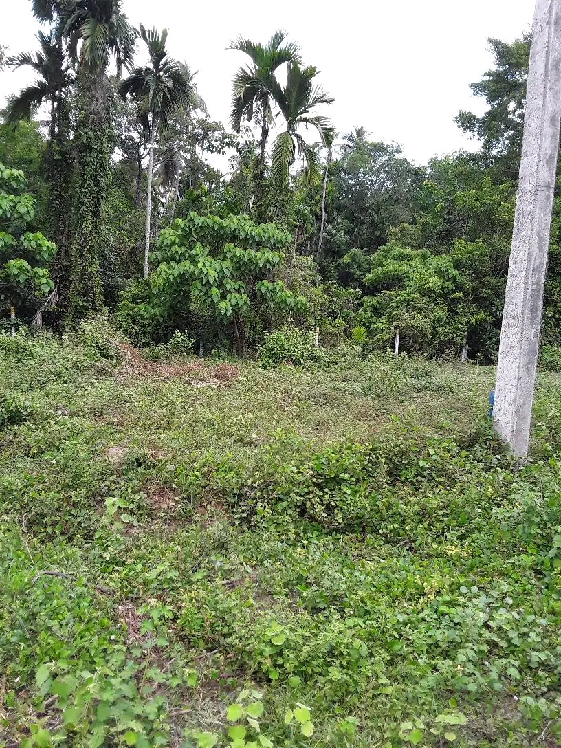 Agricultural Land for Sale in Ridigama